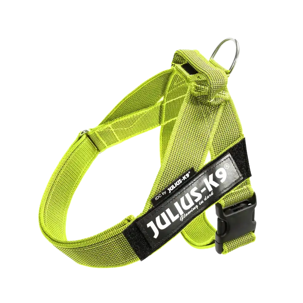 Julius-K9 IDC® Color & Gray®  Belt Harness