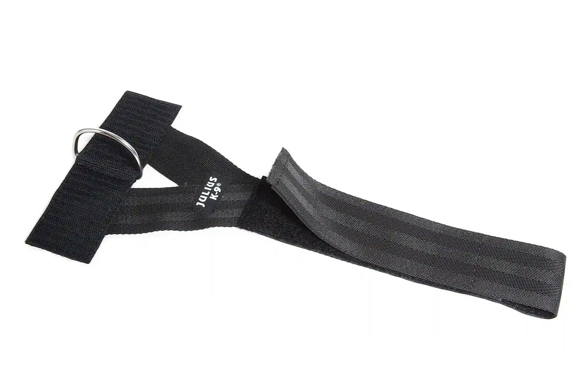 Julius-K9 Front Control Y-Belt with D-ring