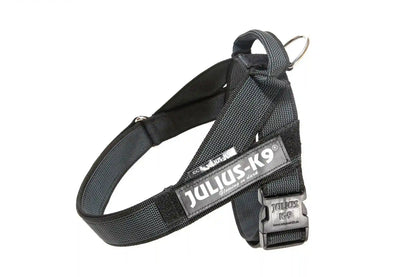 Julius-K9 IDC® Color & Gray®  Belt Harness