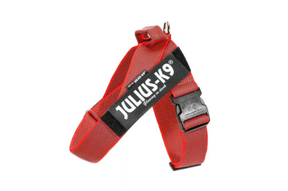 Julius-K9 IDC® Color & Gray®  Belt Harness