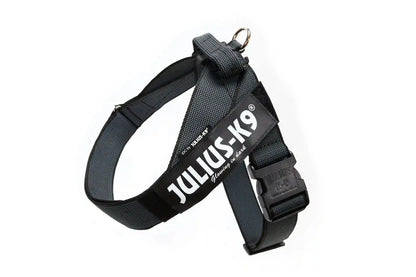 Julius-K9 IDC® Color & Gray®  Belt Harness