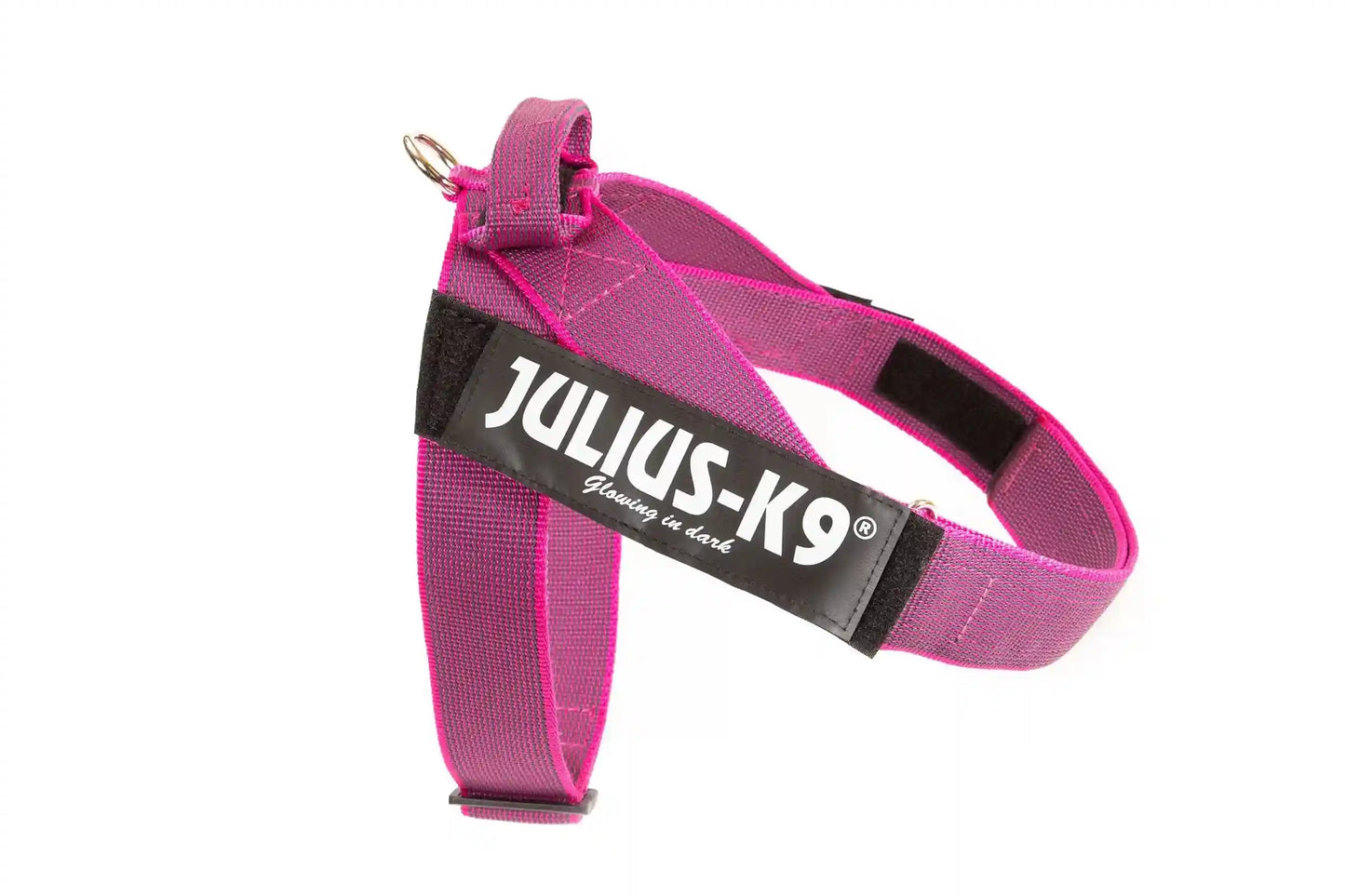 Julius-K9 IDC® Color & Gray®  Belt Harness