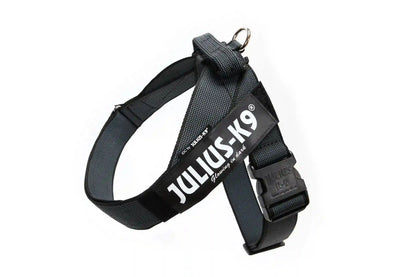 Julius-K9 IDC® Color & Gray®  Belt Harness
