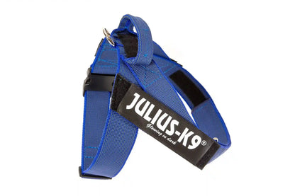 Julius-K9 IDC® Color & Gray®  Belt Harness