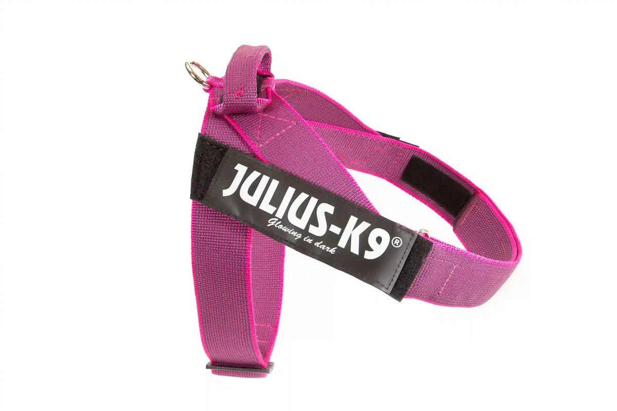 Julius-K9 IDC® Color & Gray®  Belt Harness