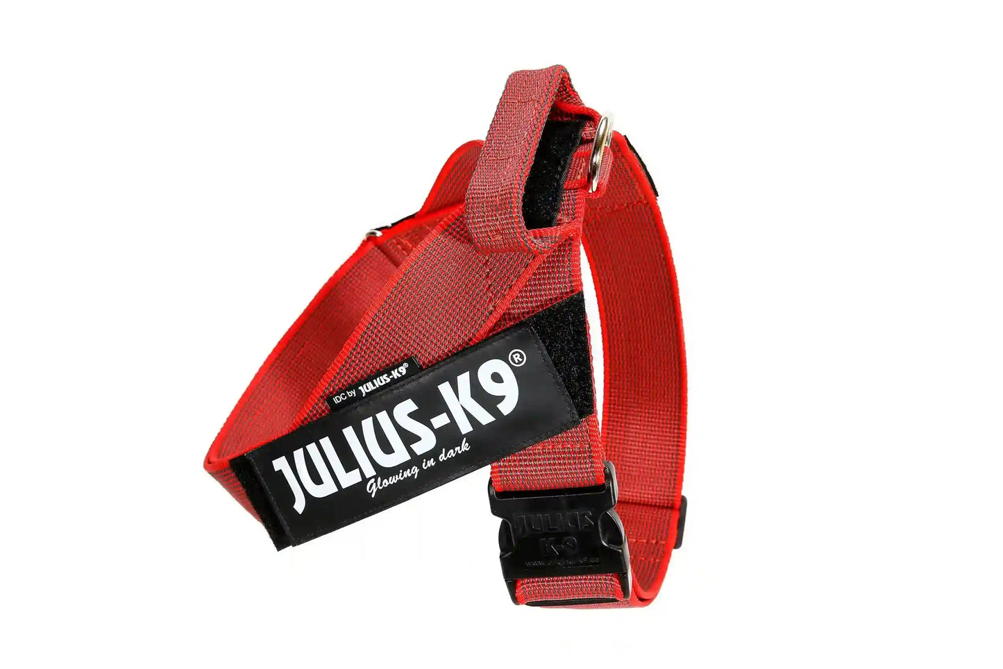Julius-K9 IDC® Color & Gray®  Belt Harness