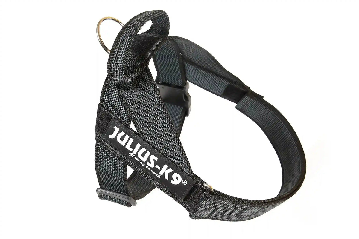 Julius-K9 IDC® Color & Gray®  Belt Harness