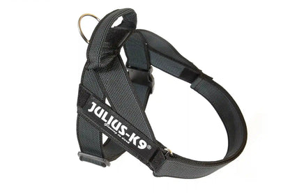 Julius-K9 IDC® Color & Gray®  Belt Harness