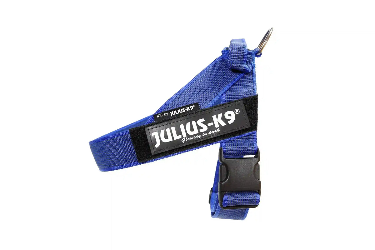Julius-K9 IDC® Color & Gray®  Belt Harness