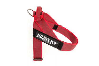 Julius-K9 IDC® Color & Gray®  Belt Harness