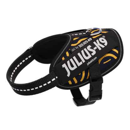 Limited Edition Bundle