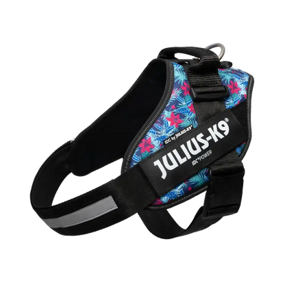 Limited Edition IDC® Powerharness