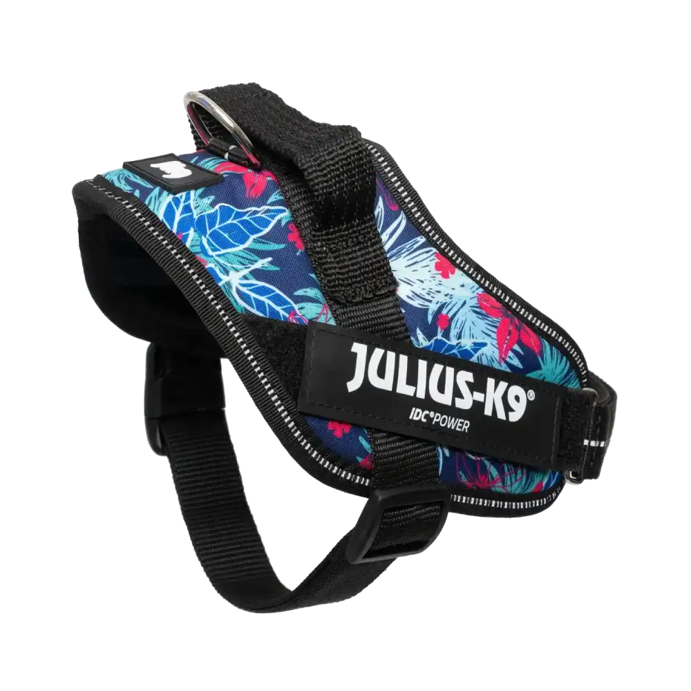 Limited Edition IDC® Powerharness