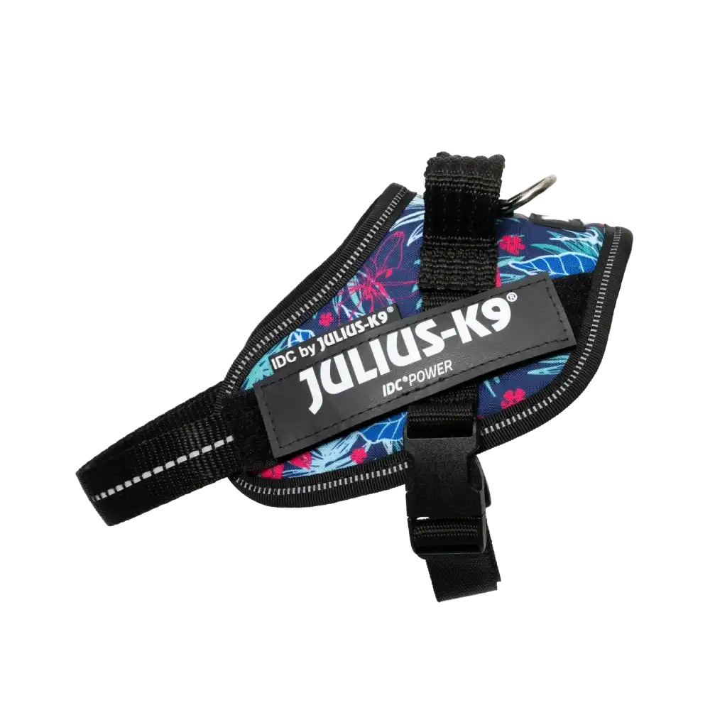 Limited Edition IDC® Powerharness
