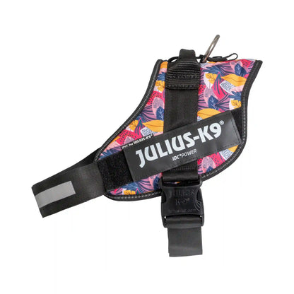 Limited Edition IDC® Powerharness