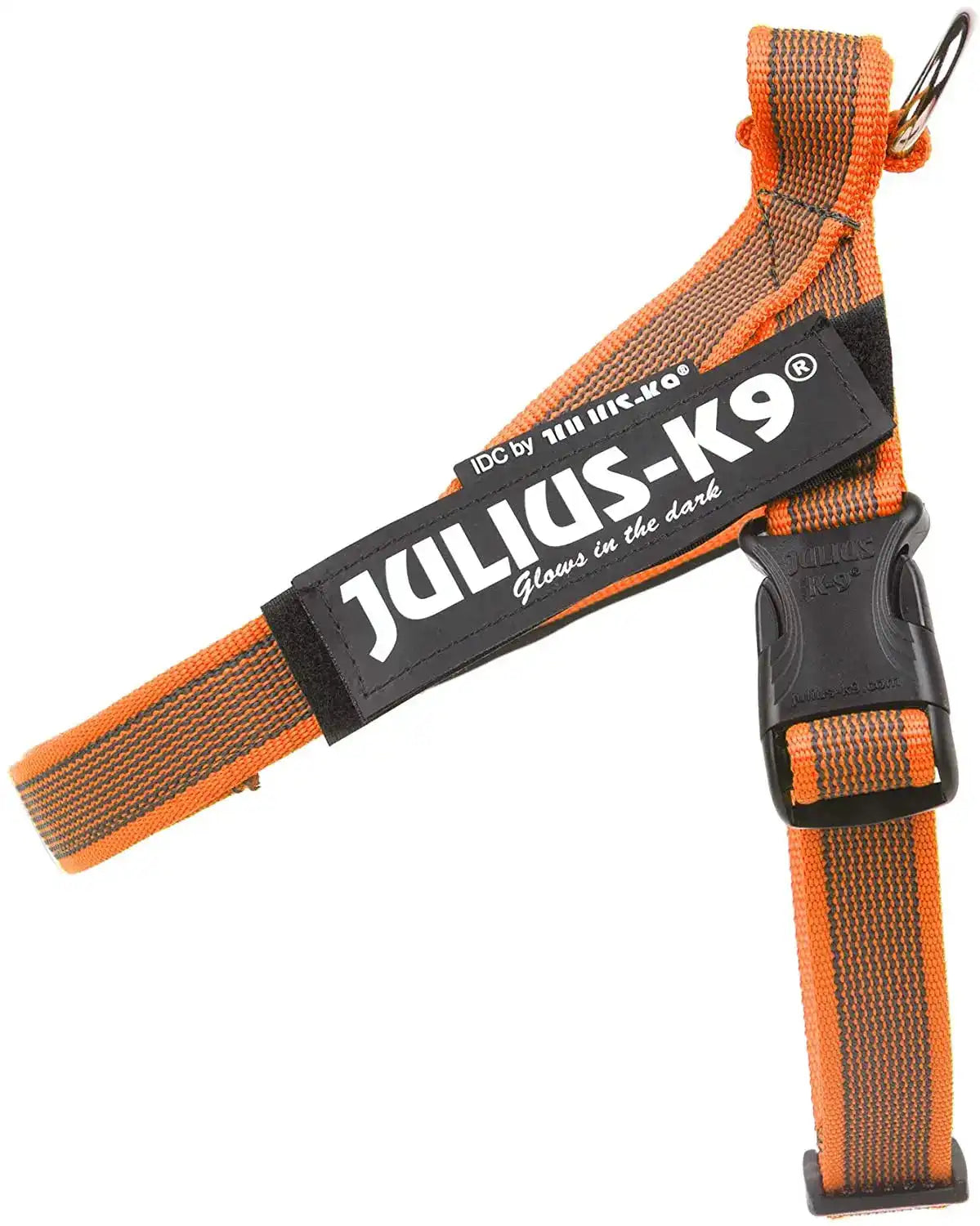 Julius-K9 IDC® Color & Gray®  Belt Harness