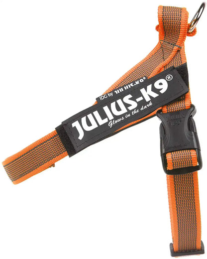 Julius-K9 IDC® Color & Gray®  Belt Harness
