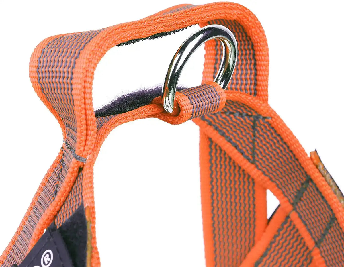 Julius-K9 IDC® Color & Gray®  Belt Harness