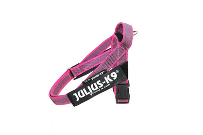 Julius-K9 IDC® Color & Gray®  Belt Harness