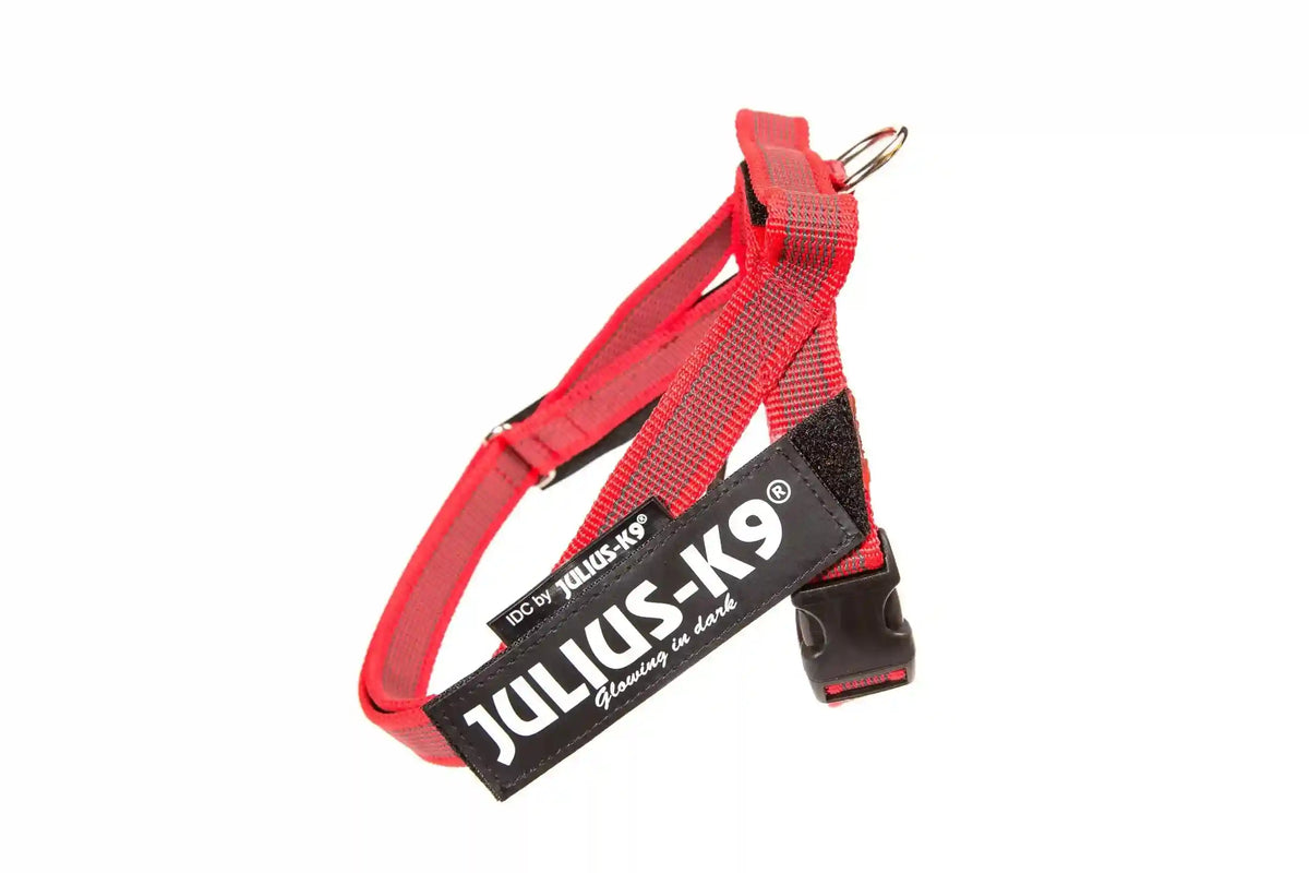 Julius-K9 IDC® Color & Gray®  Belt Harness