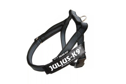 Julius-K9 IDC® Color & Gray®  Belt Harness