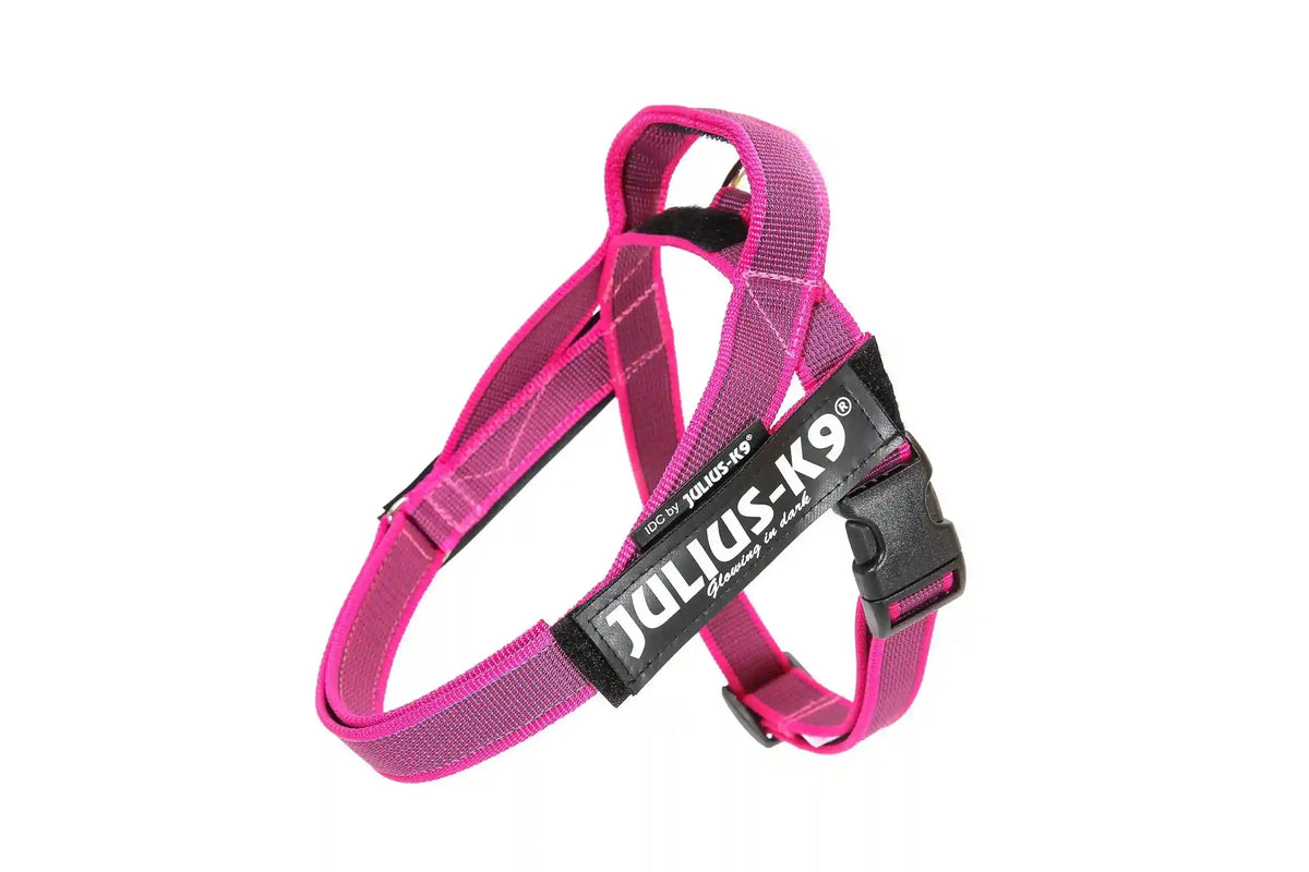 Julius-K9 IDC® Color & Gray®  Belt Harness