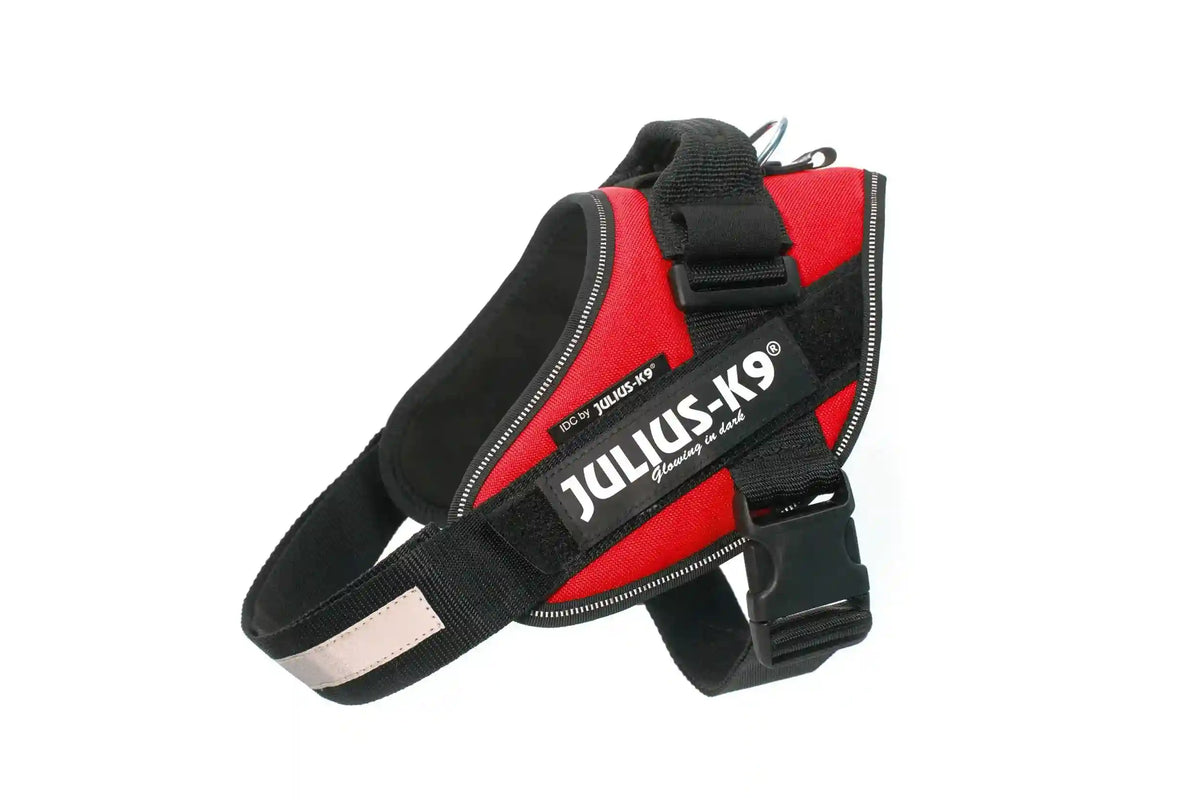 Julius-K9® IDC® Powerharness