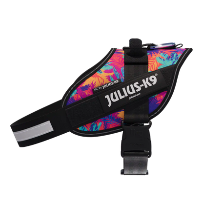 Limited Edition IDC® Powerharness