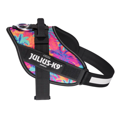 Limited Edition IDC® Powerharness