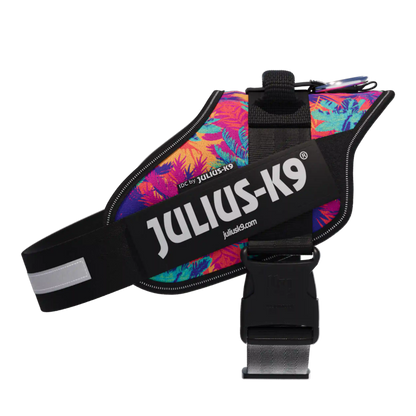 Limited Edition IDC® Powerharness