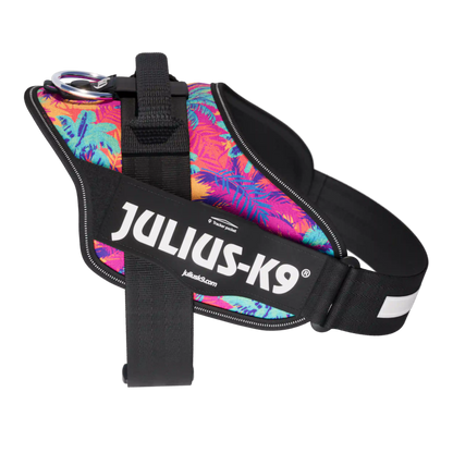 Limited Edition IDC® Powerharness