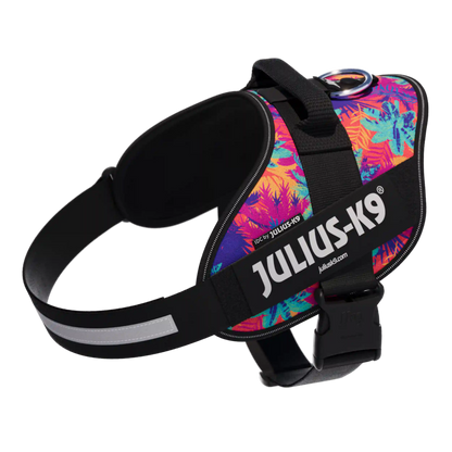 Limited Edition IDC® Powerharness