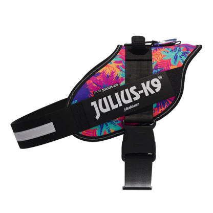 Limited Edition IDC® Powerharness