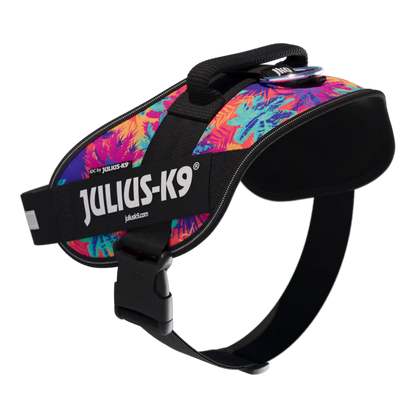 Limited Edition IDC® Powerharness