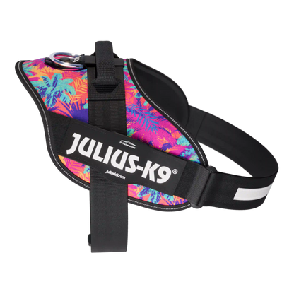 Limited Edition IDC® Powerharness