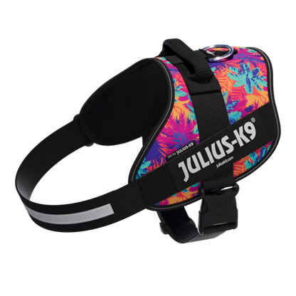 Limited Edition IDC® Powerharness