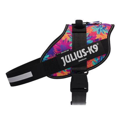 Limited Edition IDC® Powerharness