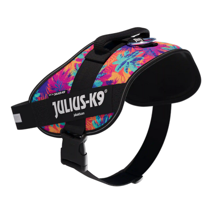 Limited Edition IDC® Powerharness