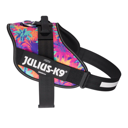 Limited Edition IDC® Powerharness