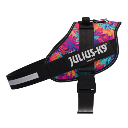 Limited Edition IDC® Powerharness