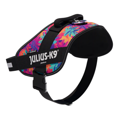 Limited Edition IDC® Powerharness