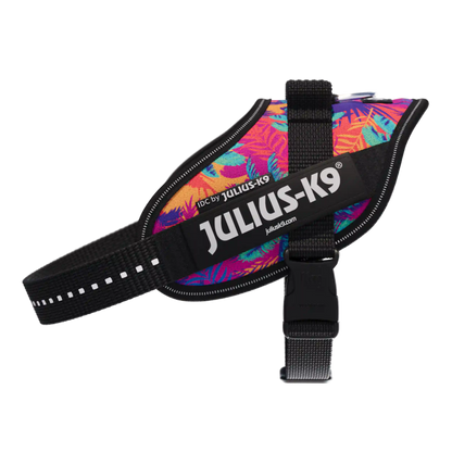 Limited Edition IDC® Powerharness