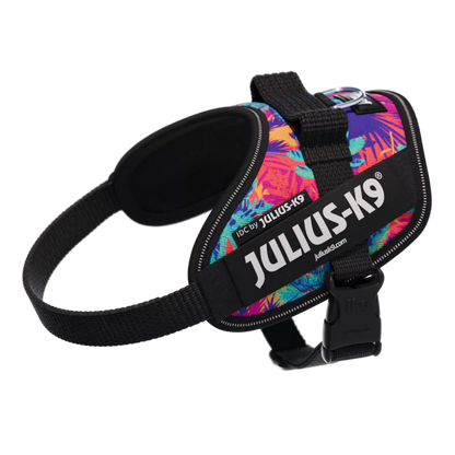 Limited Edition IDC® Powerharness