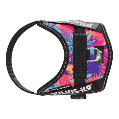 Limited Edition IDC® Powerharness