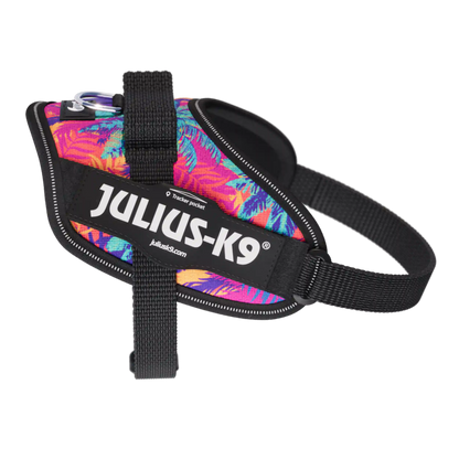 Limited Edition IDC® Powerharness