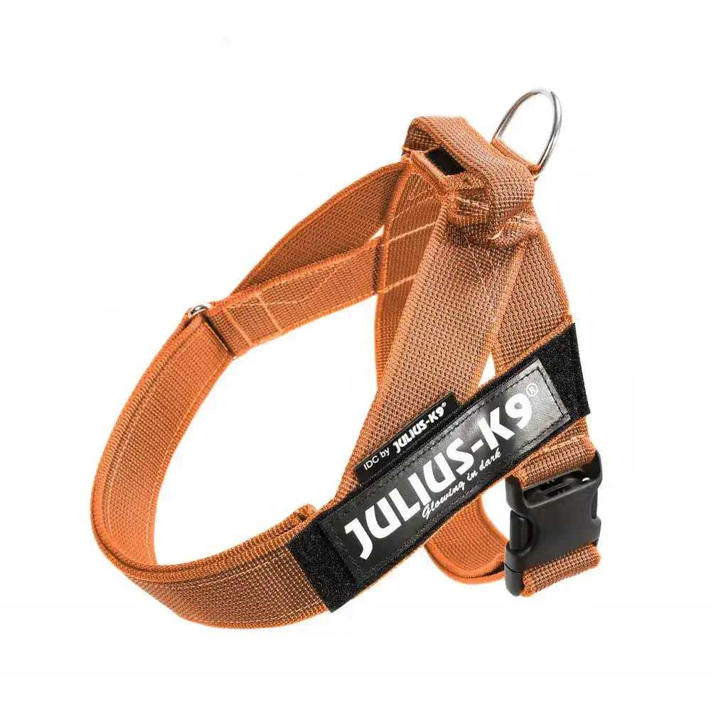 Julius-K9 IDC® Color & Gray®  Belt Harness