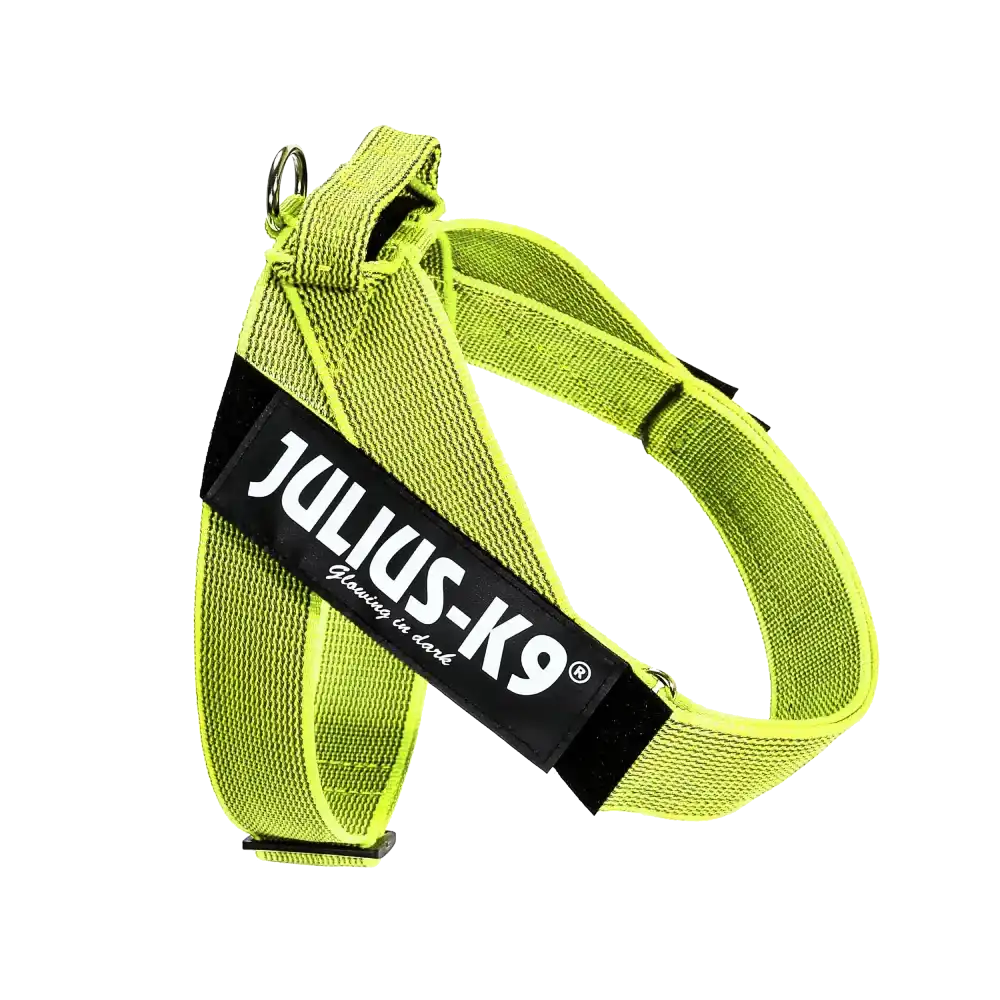 Julius-K9 IDC® Color & Gray®  Belt Harness