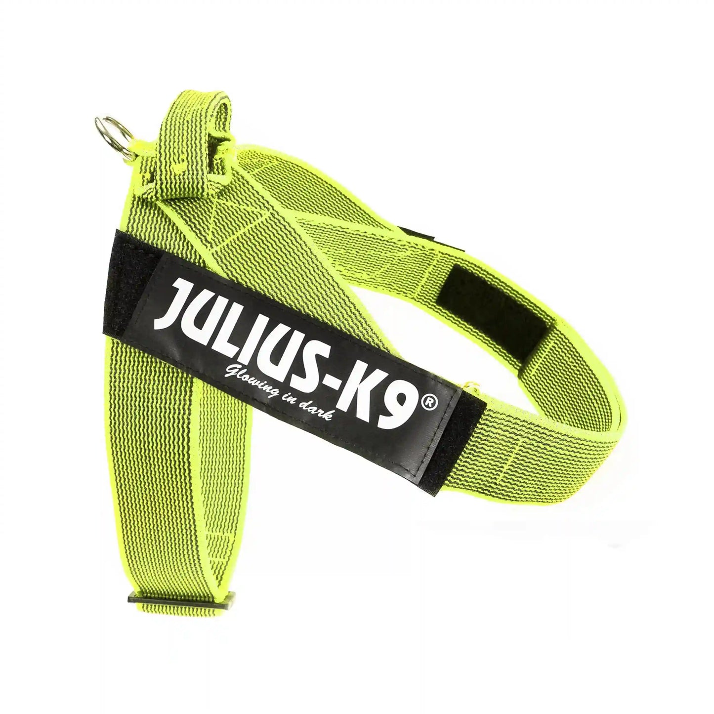 Julius-K9 IDC® Color & Gray®  Belt Harness