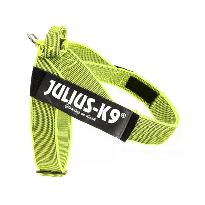 Julius-K9 IDC® Color & Gray®  Belt Harness