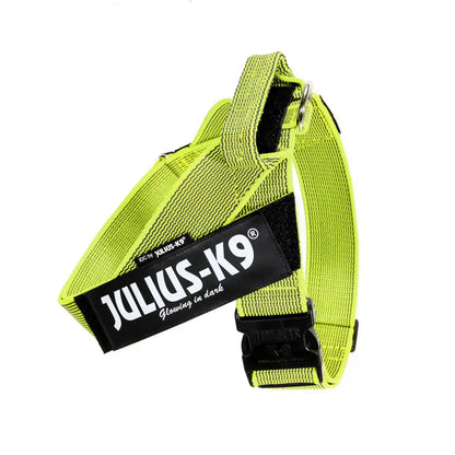 Julius-K9 IDC® Color & Gray®  Belt Harness
